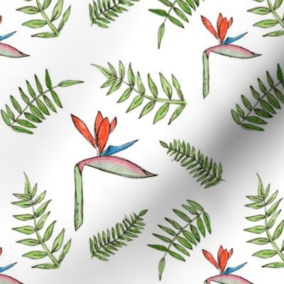 Birds of Pardise Repeating Pattern