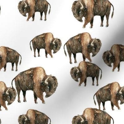 Bison Herd - Smaller Scale