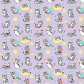 Playful gray kittens on purple