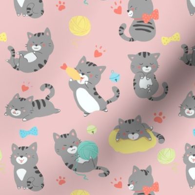 Playful gray kittens on pink