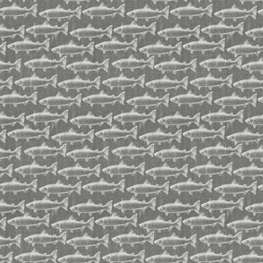 Chalk Steelhead Trout School on Distressed  Grey Denim- Large Pattern