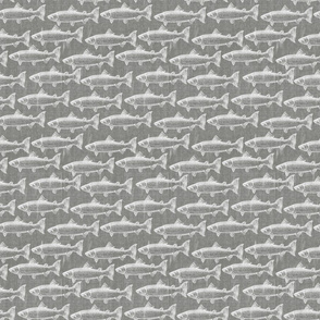 Chalk Steelhead Trout School on Distressed  Grey Denim- Small Pattern