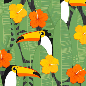 Bohemian Paradise. Toucans.