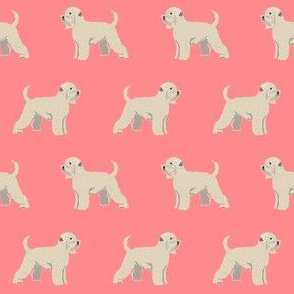 irish wheaten terrier dog fabric - soft-coated wheaten terrier dog, dog fabric, dogs fabric dog breeds fabric - salmon