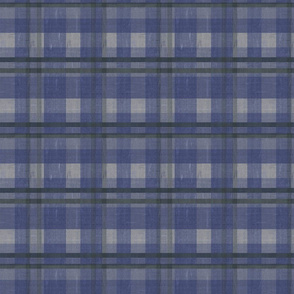 Distressed Blue Plaid