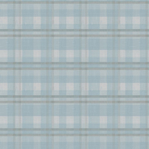 Distressed Teal Plaid