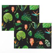 Bohemian Tropical Black