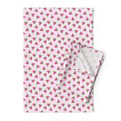 (extra small scale) watermelons (pink stripes)- summer fruit fabric (90)- LAD19BS