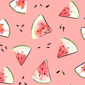 Pink watermelon watercolor 