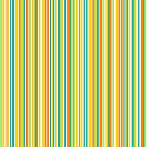 Multicolored Stripe