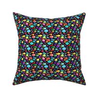 Rainbow fish - black background - smaller scale