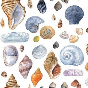 Seashell mix