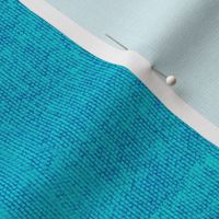 Denim Textured Solid - Resort Aqua Blue