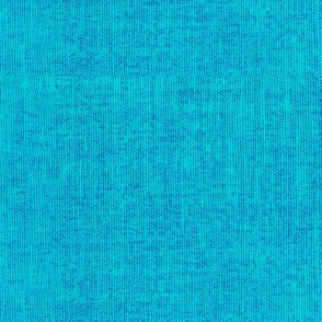 Denim Textured Solid - Resort Aqua Blue