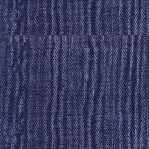 Textured Solid - Resort Blue