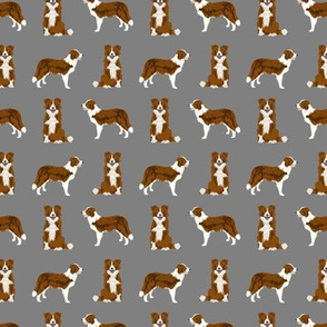 SMALL - border collie red coat dog breed fabric grey