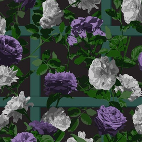 Rose Vines on Lattice - Purple Grey Black