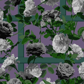 Rose Vines on Lattice - Black Grey Purple