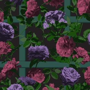 Rose Vines on Lattice - Purple Pink Black