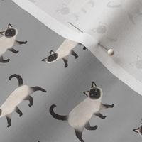 siamese cat fabric - siamese cat, cat fabric, cat lady fabric, cats fabric, siamese cats -  grey