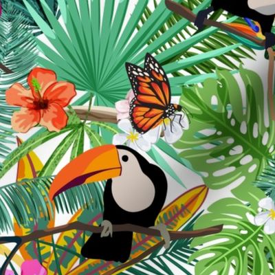 Toucans in the Spring