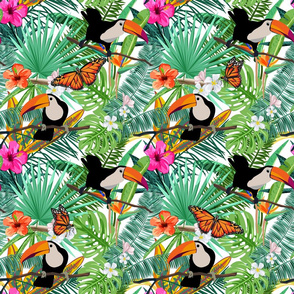 Toucans in the Spring