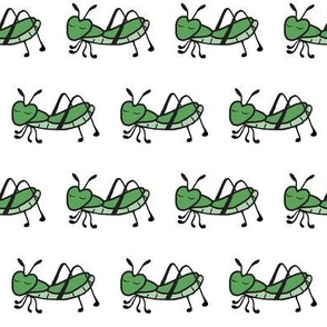 Insect Hopper / green & white 