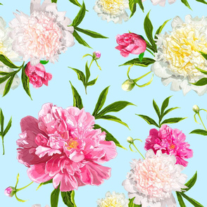 Pink Peonies flowers