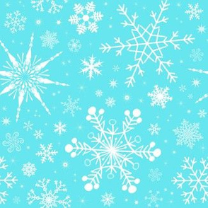Winter White  Snowflakes on Blue