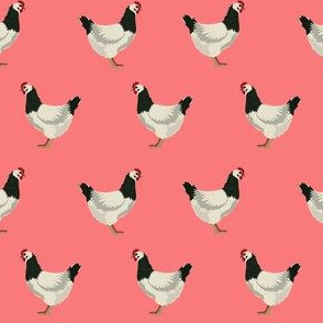 sussex chicken fabric - chicken fabric, animals fabric, animal fabric, farm animals fabric, farm fabric - salmon