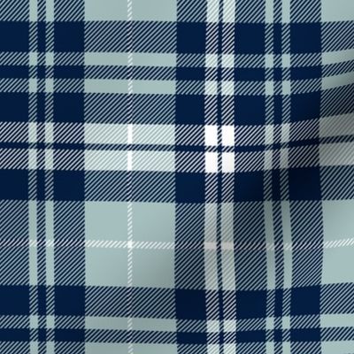 navy and dusty blue fall plaid - LAD19