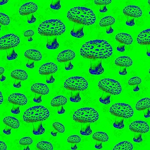 Trippy Neon Green Magic Mushrooms, Real Mushrooms, Dotted Toadstools, Scattered Woodland Fungi Shrooms