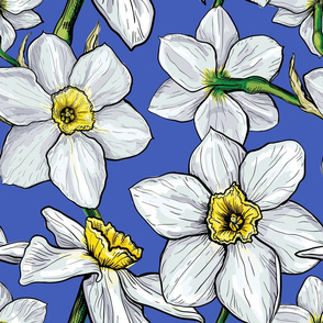 Pattern with flowers of Narcissus