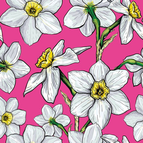Pattern with flowers of Narcissus