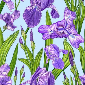 Seamless pattern with Iris flowers