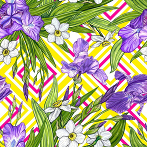 Pattern with Iris and Narcissus flowers