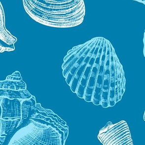 Seamless pattern with Seashells