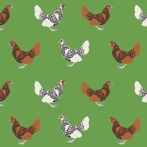 sebright chicken fabric - gold laced sebright, silver laced sebright, chicken fabric, birds fabric, farm bird fabric, chicken breed fabric - green