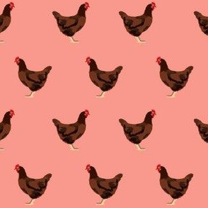rhode island red chicken fabric - chicken fabric, chicken breeds, chicken breed fabric, farm bird fabric, farm fabric - salmon