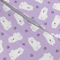 Tiny American Eskimo Dog - purple