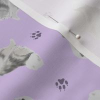 Tiny Keeshond - purple