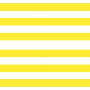 4"  Yellow Stripes