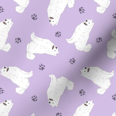 Tiny Samoyed - purple