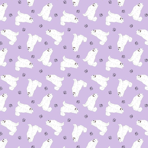Tiny Samoyed - purple