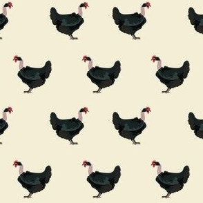 naked neck chicken fabric - chicken fabric, chickens fabric, chicken breed fabric, cockarel fabric, rooster fabric - cream