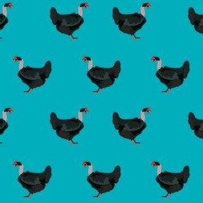 naked neck chicken fabric - chicken fabric, chickens fabric, chicken breed fabric, cockarel fabric, rooster fabric - teal