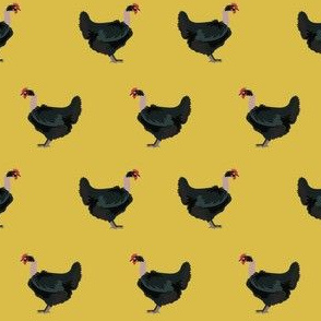 naked neck chicken fabric - chicken fabric, chickens fabric, chicken breed fabric, cockarel fabric, rooster fabric - yellow