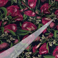 Sugarbush - Protea Floral Black Large Scale