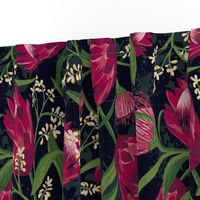 Sugarbush - Protea Floral Black Large Scale