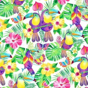 Tropical Toucans in Watercolour